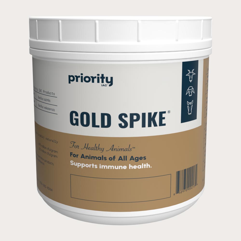 Gold Spike Supplement for Animals.