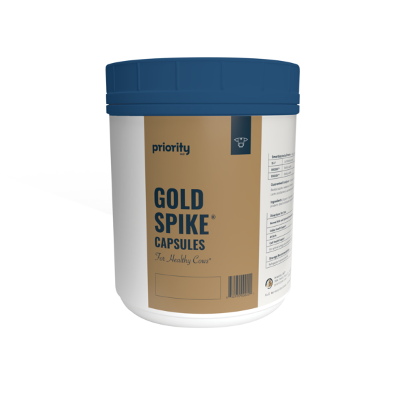 Gold Spike™  Capsules for Cows