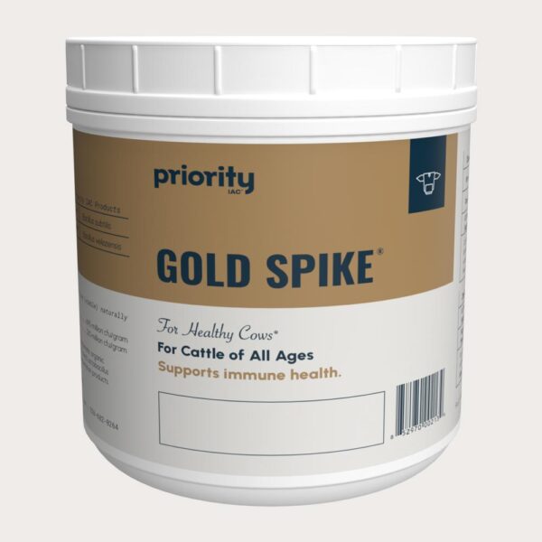 Gold Spike Powder for cows.