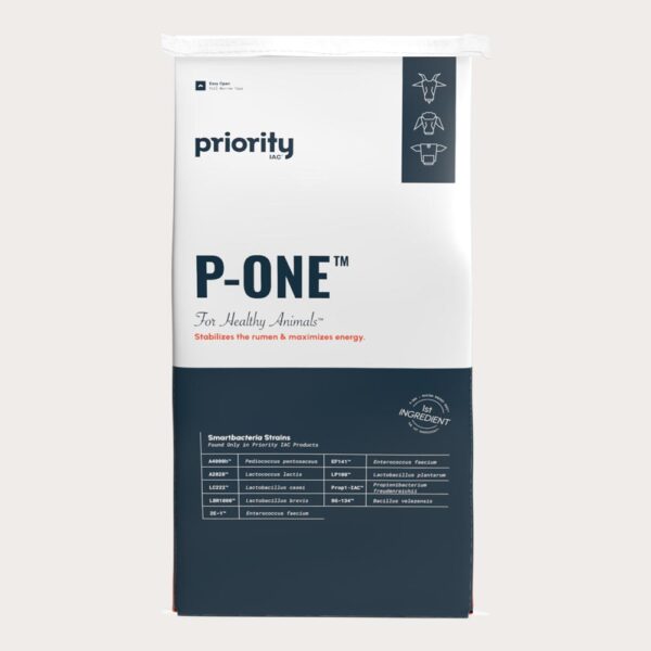 P-One Supplement bag front view.