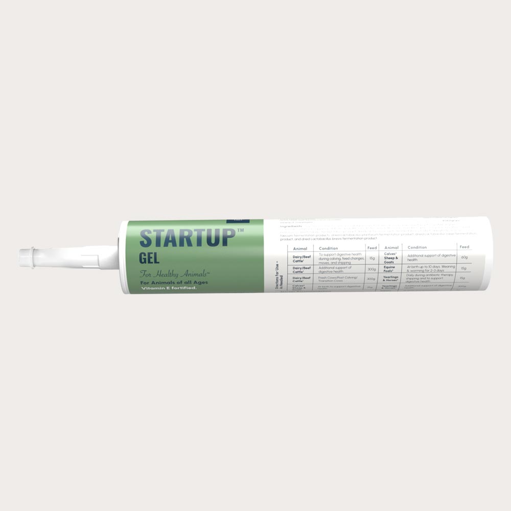 StartUp Gel 300g Tube for Animals.