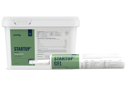 StartUp Gel and Capsules Banner