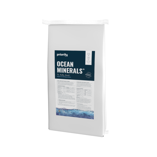 Ocean Minerals™ - Image 2