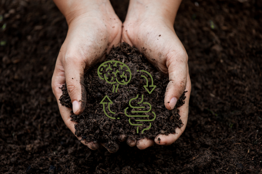 soil-gut connection
